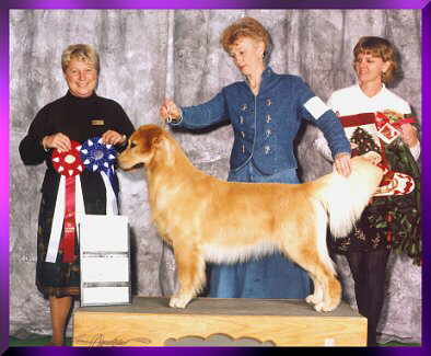 Jr. stack - AGRC BOW- & BOS at 14mos.